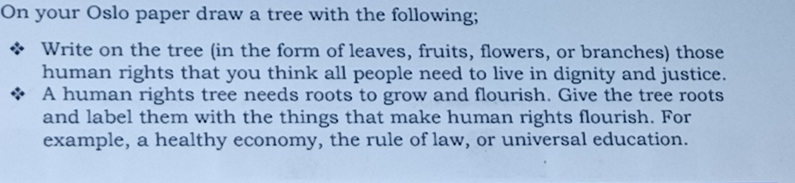 On your Oslo paper draw a tree with the following; 
Write on the tree (in the form of leaves, fruits, flowers, or branches) those 
human rights that you think all people need to live in dignity and justice. 
A human rights tree needs roots to grow and flourish. Give the tree roots 
and label them with the things that make human rights flourish. For 
example, a healthy economy, the rule of law, or universal education.