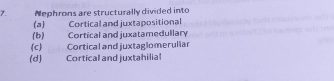 Solved: Nephrons are structurally divided into (a) Cortical and ...