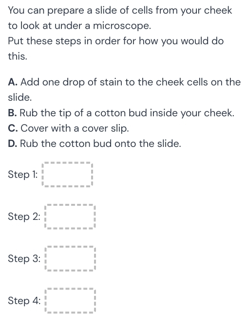 You can prepare a slide of cells from your cheek 
to look at under a microscope. 
Put these steps in order for how you would do 
this. 
A. Add one drop of stain to the cheek cells on the 
slide. 
B. Rub the tip of a cotton bud inside your cheek. 
C. Cover with a cover slip. 
D. Rub the cotton bud onto the slide. 
Step 1: □°=-----=-=_ - frac 1 ------------endarray 
Step 2: □ =---------=-=-beginarrayr - 3/2 _-13 _ -------------------- beginarrayr 1 beginarrayr endarray
Step 3: □ 
Step 4: □°