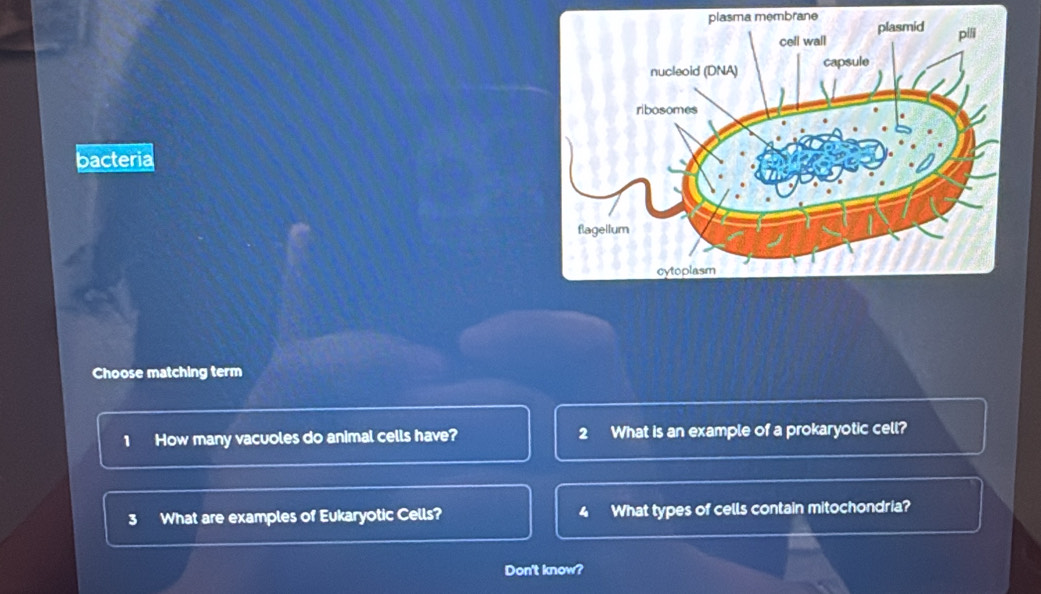 a membrane 
bacteria 
Choose matching term 
1 How many vacuoles do animal cells have? 2 What is an example of a prokaryotic cell? 
3 What are examples of Eukaryotic Cells? 4 What types of cells contain mitochondria? 
Don't know?