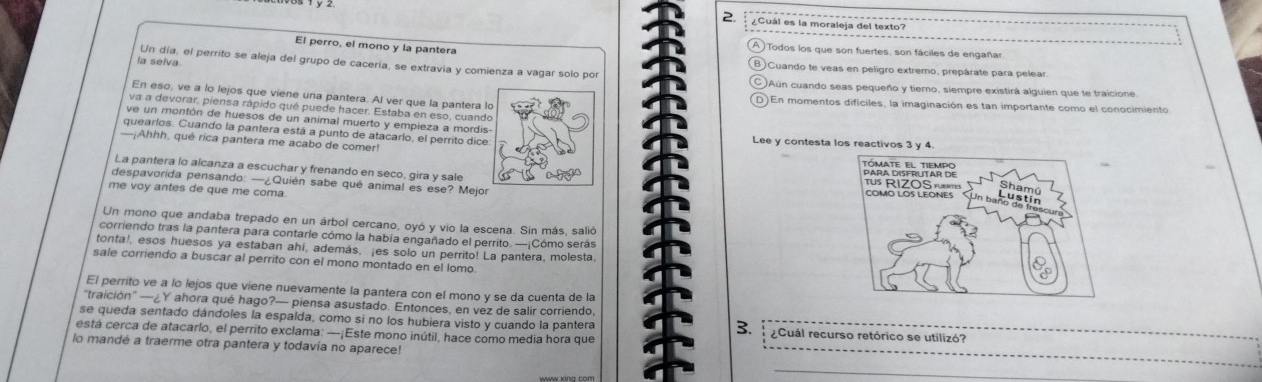 ¿Cuál es la moraleja del texto?
El perro, el mono y la pantera
Todos los que son fuertes, son fáciles de engañar
la selva
Un día, el perrito se aleja del grupo de cacería, se extravia y comienza a vagar solo por
Cuando te veas en pelígro extremo, prepárate para pelear.
Aún cuando seas pequeño y tiemo, siempre existirá alguien que le traicione
En eso, ve a lo lejos que viene una pantera. Al ver que la pantera l )En momentos dificiles, la imaginación es tan importante como el conocimiento
va a devorar, piensa rápido qué puede hacer. Estaba en eso, cuand
ve un montón de huesos de un animal muerto y empieza a mordis
quearlos. Cuando la pantera está a punto de atacarlo, el perrito diçe Lee y contesta los reactivos 3 y 4.
—¡Ahhh, qué rica pantera me acabo de comer!
La pantera lo alcanza a escuchar y frenando en seco, gira y sale
despavorida pensando: —¿Quién sabe qué animal es ese? Mejor 
me voy antes de que me coma
Un mono que andaba trepado en un árbol cercano, oyó y vio la escena. Sin más, salió
corriendo tras la pantera para contarle cómo la había engañado el perrito. —¡Cómo serás
tonta!, esos huesos ya estaban ahí, además, ¡es solo un perrito! La pantera, molesta
sale corriendo a buscar al perrito con el mono montado en el lomo
El perrito ve a lo lejos que viene nuevamente la pantera con el mono y se da cuenta de la
"traición' —¿Y ahora qué hago?— piensa asustado. Entonces, en vez de salir corriendo,
_
se queda sentado dándoles la espalda, como sí no los hubiera visto y cuando la pantera  eCuál recurso retórico se utilizó?
3.
está cerca de atacarlo, el perrito exclama: —¡Este mono inútil, hace como media hora que_
lo mandé a traerme otra pantera y todavía no aparece!
_