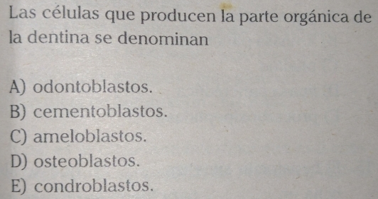 Las células que producen la parte orgánica de
la dentina se denominan
A) odontoblastos.
B) cementoblastos.
C) ameloblastos.
D) osteoblastos.
E) condroblastos.