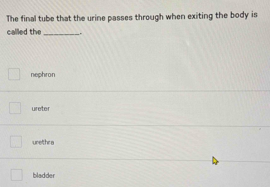 The final tube that the urine passes through when exiting the body is
called the_
.
nephron
ureter
urethra
bladder