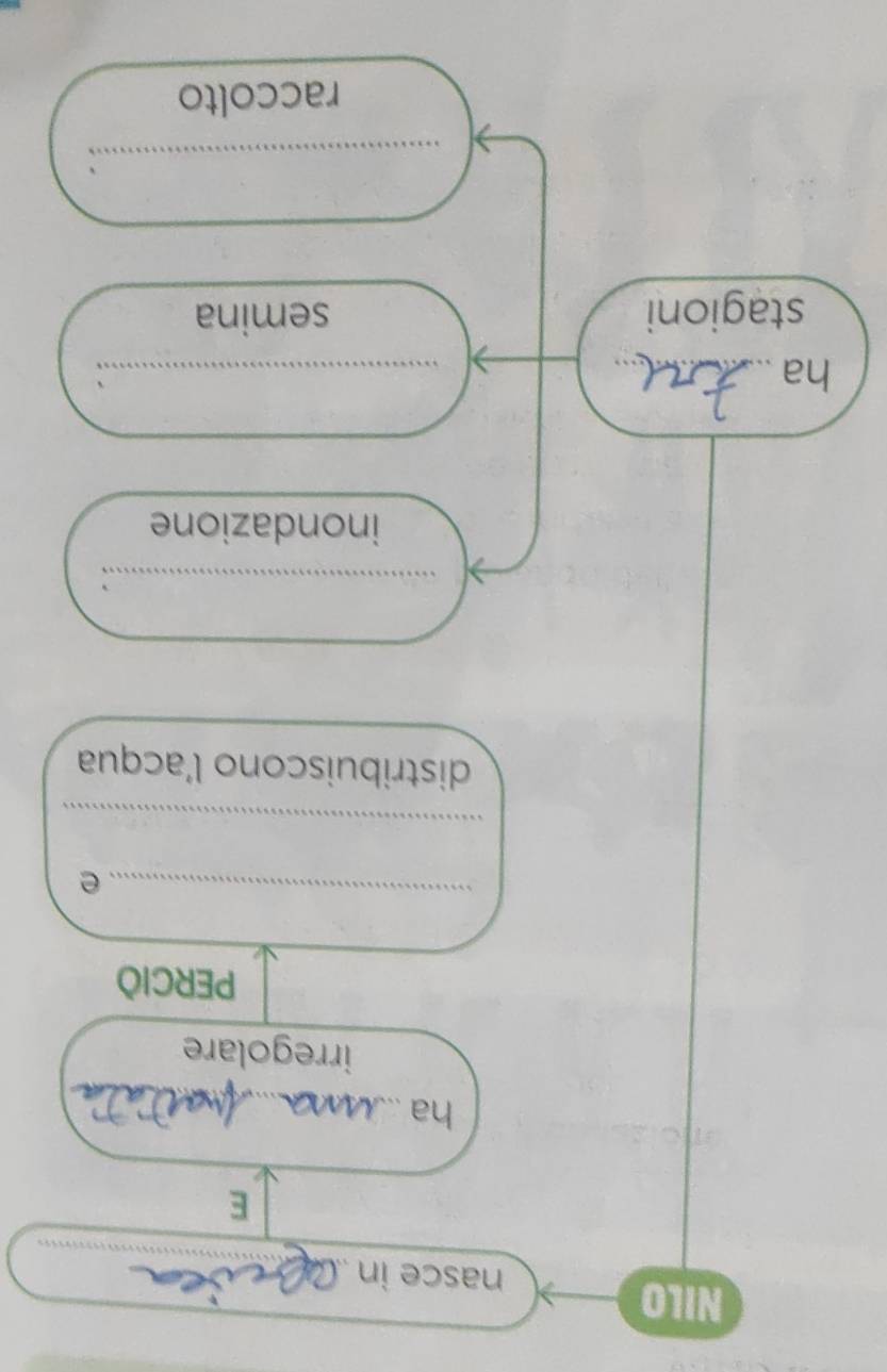 NILO 
nasce in ._ 
E 
ha_ 
irregolare 
PERCIO 
_ 
e 
_ 
distribuiscono l’acqua 
_ 
inondazione 
ha_ 
_.: 
stagioni semina 
_: 
raccolto