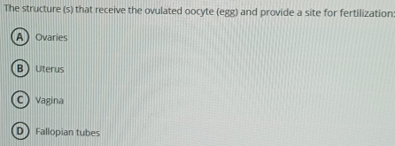 The structure (s) that receive the ovulated oocyte (egg) and provide a site for fertilization
AOvaries
BUterus
C Vagina
D Fallopian tubes