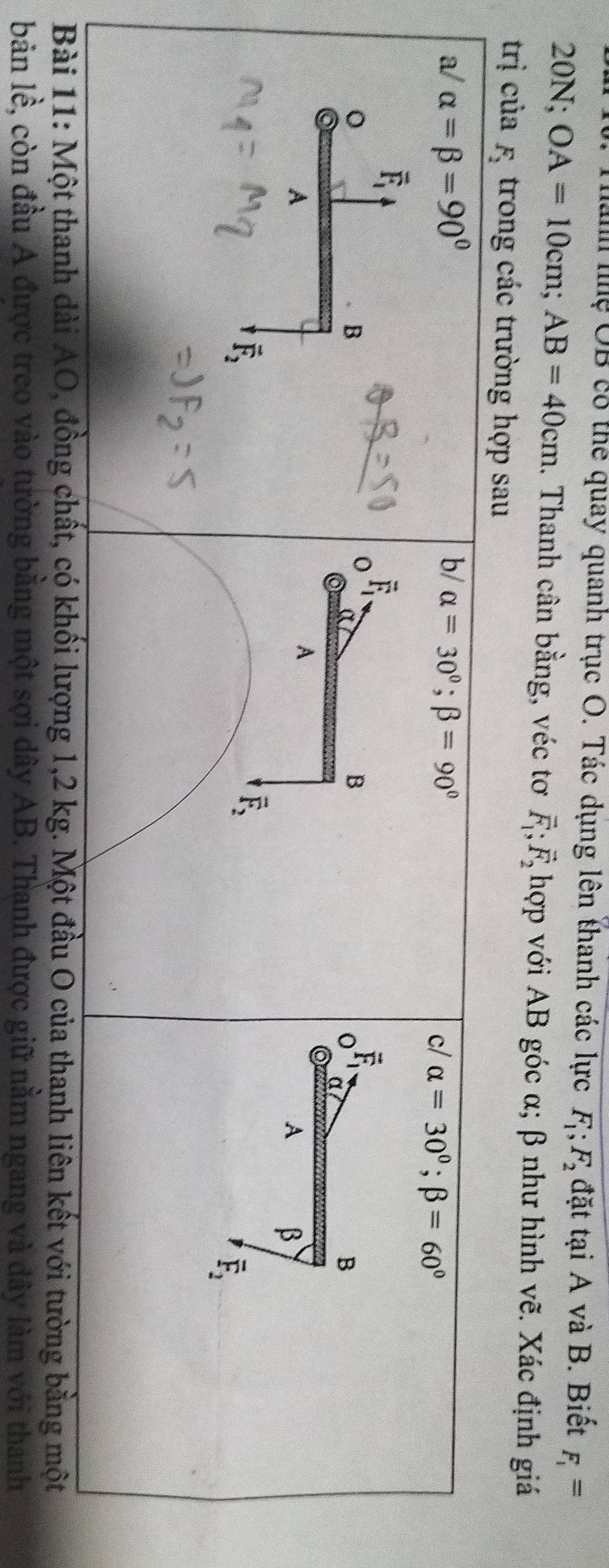 Thanh nhệ OB cổ thể quay quanh trục O. Tác dụng lên thanh các lực F_1;F_2 đặt tại A và B. Biết F_1=
20N; OA=10cm;AB=40cm. Thanh cân bằng, véc tơ vector F_1;vector F_2 hợp với AB góc α; β như hình vẽ. Xác định giá
trị của tro
ột đầu O của thanh liên kết với tường bằng một
bản lề, còn đầu A được treo vào tường bằng một sợi dây AB. Thanh được giữ nằm ngang và dây làm với thanh