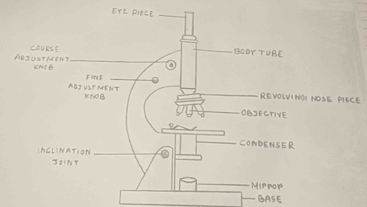 PIECE 
BASE