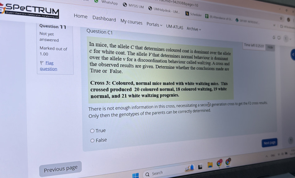 e=10 
WhatsApp MYSIS UM UMHelpdesk - UM... Scheduler
5
(

SPeCTRUM Home Dashboard My courses Portals~ UM-ATLAS Archive∽
(B) Attendance of G.. SO1001 INTROOUC..
U 
Question 11 Question C1
Not yet
Time left 0:25:01 Hide
answered In mice, the allele C that determines coloured coat is dominant over the allele
Marked out of c for white coat. The allele ½that determines normal behaviour is dominant
1.00 over the allele v for a discoordination behaviour called waltzing. A cross and
Elag the observed results are given. Determine whether the conclusions made are
question True or False.
Cross 3: Coloured, normal mice mated with white waltzing mice. This
crossed produced 20 coloured normal, 18 coloured waltzing, 19 white
normal, and 21 white waltzing progenies.
There is not enough information in this cross, necessitating a secord generation cross to get the F2 cross resuits.
Only then the genotypes of the parents can be correctly determined.
True
False
Next page
Previous page
Search