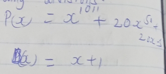 P(x)=x^(1011)+20x^(51)+
2nx-1
(x)=x+1