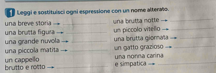 Leggi e sostituisci ogni espressione con un nome alterato. 
una breve storia _una brutta notte_ 
una brutta figura _un piccolo vitello_ 
una grande nuvola _una brutta giornata_ 
una piccola matita _un gatto grazioso_ 
un cappello una nonna carina 
brutto e rotto _e simpatica_