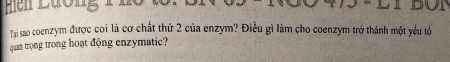 Hen Lưống 1 

Tại sao coenzym được coi là cơ chất thứ 2 của enzym? Điều gì làm cho coenzym trở thành một yếu tổ 
quan trọng trong hoạt động enzymatic?