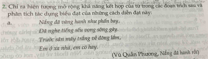 Chỉ ra hiện tượng mở rộng khả năng kết hợp của từ trong các đoạn trích sau và 
phân tích tác dụng biểu đạt của những cách diễn đạt này: 
a. Nắng đã vàng hanh như phấn bay, 
Đã nghe tiếng sếu vọng sông gày. 
Trước sân mây trắng về đông lắm, 
Em ở xa nhà, em có hay. 
(Vũ Quần Phương, Nắng đã hanh rồi)