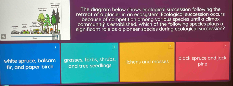 The diagram below shows ecological succession following the
retreat of a glacier in an ecosystem. Ecological succession occurs
because of competition among various species until a climax
community is established. Which of the following species plays a
significant role as a pioneer species during ecological succession?
a
Time
1
2
4
white spruce, balsam grasses, forbs, shrubs, lichens and mosses black spruce and jack
fir, and paper birch and tree seedlings pine