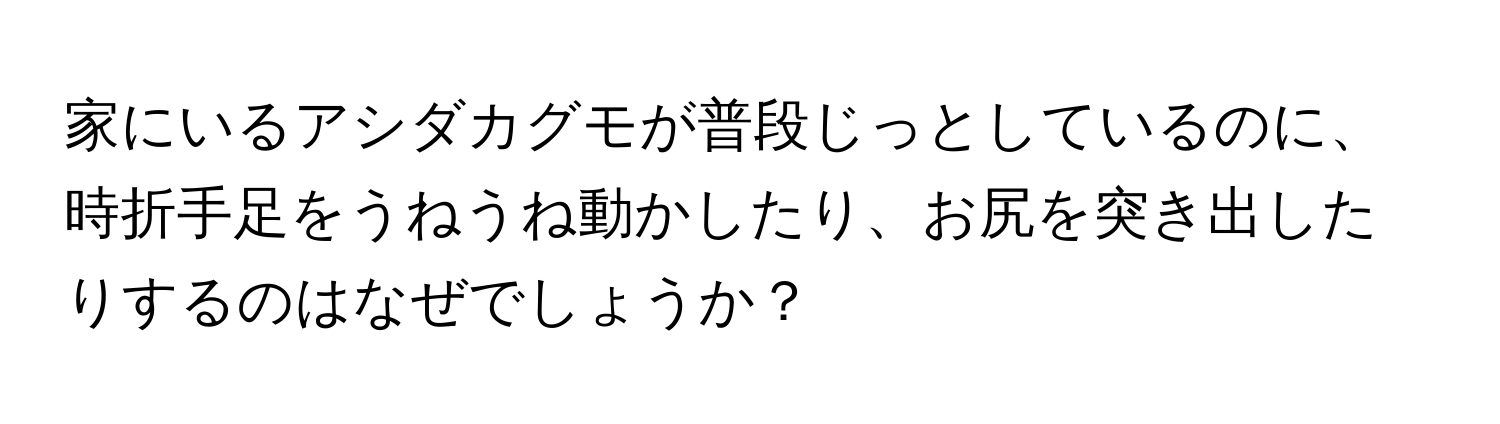 家にいるアシダカグモが普段じっとしているのに、時折手足をうねうね動かしたり、お尻を突き出したりするのはなぜでしょうか？