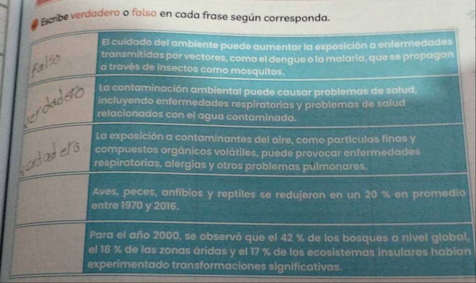 ribe verdadero o falso en cada frase según corresponda. 
o 
l 
n