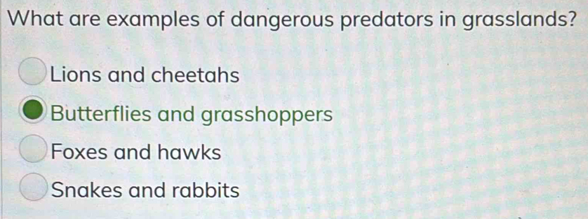 What are examples of dangerous predators in grasslands?
Lions and cheetahs
Butterflies and grasshoppers
Foxes and hawks
Snakes and rabbits