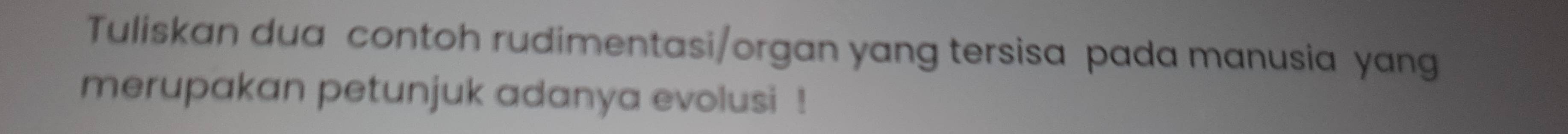 Tuliskan dua contoh rudimentasi/organ yang tersisa pada manusia yang 
merupakan petunjuk adanya evolusi !