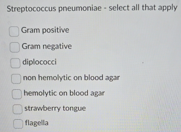 Streptococcus pneumoniae - select all that apply
Gram positive
Gram negative
diplococci
non hemolytic on blood agar
hemolytic on blood agar
strawberry tongue
flagella