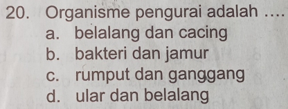 Organisme pengurai adalah ....
a. belalang dan cacing
b. bakteri dan jamur
c. rumput dan ganggang
d. ular dan belalang