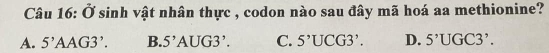 sinh vật nhân thực , codon nào sau đây mã hoá aa methionine?
A. 5' A AG3 '. B. 5' Al JG3' C. 5^,UCG3^,. D. 5^,UGC3^(^,).