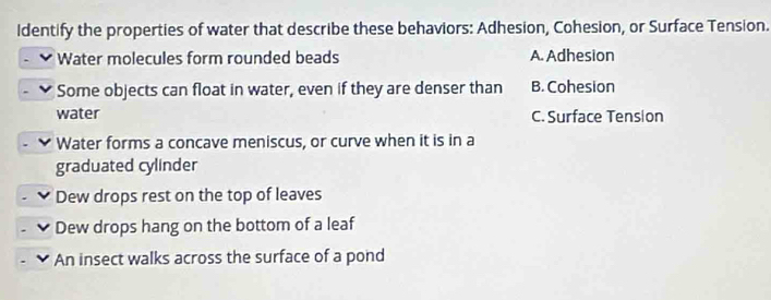 ldentify the properties of water that describe these behaviors: Adhesion, Cohesion, or Surface Tension.
Water molecules form rounded beads A. Adhesion
Some objects can float in water, even if they are denser than B. Cohesion
water C. Surface Tension
Water forms a concave meniscus, or curve when it is in a
graduated cylinder
Dew drops rest on the top of leaves
Dew drops hang on the bottom of a leaf
An insect walks across the surface of a pond