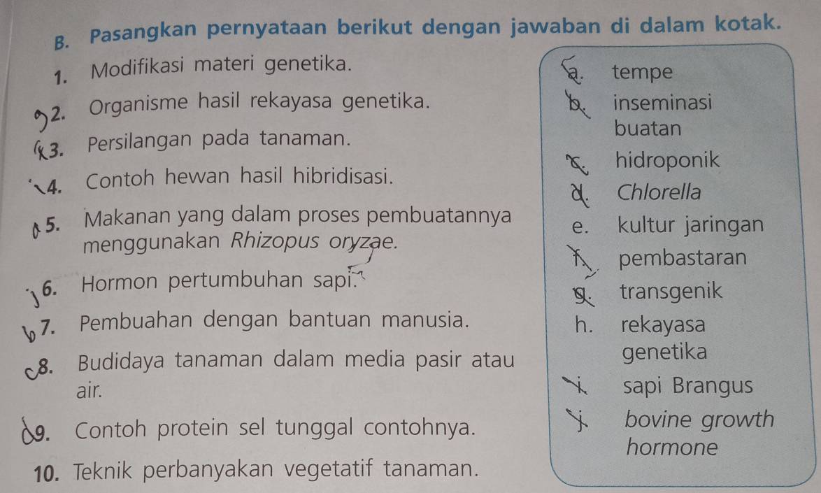 Pasangkan pernyataan berikut dengan jawaban di dalam kotak.
1. Modifikasi materi genetika.
tempe
2. Organisme hasil rekayasa genetika. b inseminasi
3. Persilangan pada tanaman.
buatan
hidroponik
4. Contoh hewan hasil hibridisasi.
Chlorella
5. Makanan yang dalam proses pembuatannya e. kultur jaringan
menggunakan Rhizopus oryzae.
pembastaran
6. Hormon pertumbuhan sapi.
transgenik
7. Pembuahan dengan bantuan manusia. h. rekayasa
8. Budidaya tanaman dalam media pasir atau genetika
air. sapi Brangus
. Contoh protein sel tunggal contohnya.
bovine growth
hormone
10. Teknik perbanyakan vegetatif tanaman.