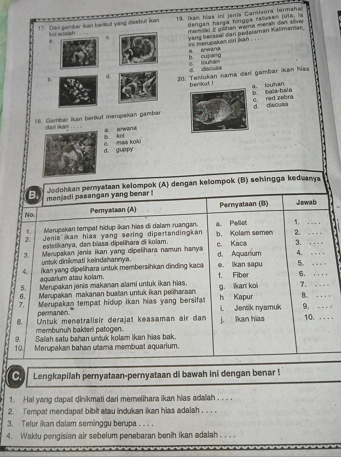 Dari gambar ikan berikut yang disebut ikan 19. Ikan hias ini jenis Carnivora termaha
dengan harga hingga ratusan juta, ia
memiliki 2 pilihan warna merah dan silver
yang berasal dari pedalaman Kalimantan,
koi adalah . . . .
c.
a.
ini merupakan ciri ikan . . . .
a. arwana
b. cupang
c. louhan
b. d. discuss
d.
20. Tentukan nama dari gambar ikan hias
berikut !
a. louhan
b. bala-bala
c. red zebra
18. Gambar ikan berikut merupakan gambard. discuss
dari ikan ...
a. arwana
b. koi
c. mas koki
d. guppy
Jodohkan pernyataan kelompok (A) dengan kelompok (B) sehingga keduanya
B. menjadi pasangan yang benar !
No. Pernyataan (A) Pernyataan (B) Jawab
1. Merupakan tempat hidup ikan hias di dalam ruangan. a. Pellet
1._
2. Jenis ikan hias yang sering dipertandingkan b. Kolam semen 2.__
estetikanya, dan biasa dipelihara di kolam.
c. Kaca 3.
3. Merupakan jenis ikan yang dipelihara namun hanya d. Aquarium 4._
untuk dinikmati keindahannya.
4. Ikan yang dipelihara untuk membersihkan dinding kaca e. Ikan sapu 5.__
aquarium atau kolam. f. Fiber 6.
5. Merupakan jenis makanan alami untuk ikan hias. 7._
6. Merupakan makanan buatan untuk ikan peliharaan g. Ikan koi
7. Merupakan tempat hidup ikan hias yang bersifat h Kapur
8._
permanén. i. Jentik nyamuk 9._
8. Untuk menetralisir derajat keasaman air dan j.  Ikan hias 10._
membunuh bakteri patogen.
9. Salah satu bahan untuk kolam ikan hias bak.
10. Merupakan bahan utama membuat aquarium.
C. Lengkapilah pernyataan-pernyataan di bawah ini dengan benar !
1. Hal yang dapat dinikmati dari memelihara ikan hias adalah . . . .
2. Tempat mendapat bibit atau indukan ikan hias adalah . . . .
3. Telur ikan dalam seminggu berupa . . . .
4. Waktu pengisian air sebelum penebaran benih ikan adalah_