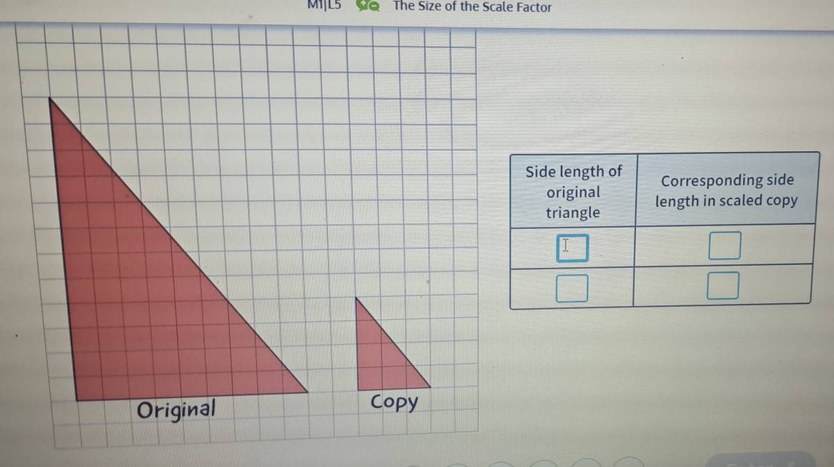 M1|L5  e The Size of the Scale Factor