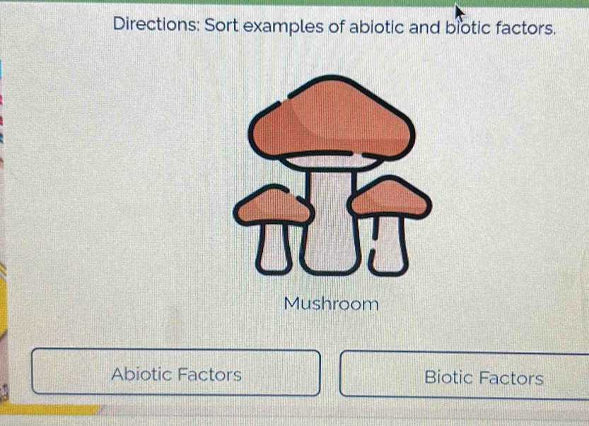 Directions: Sort examples of abiotic and biotic factors. 
Mushroom 
Abiotic Factors Biotic Factors