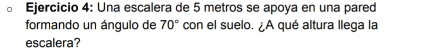 Una escalera de 5 metros se apoya en una pared 
formando un ángulo de 70° con el suelo. ¿A qué altura llega la 
escalera?