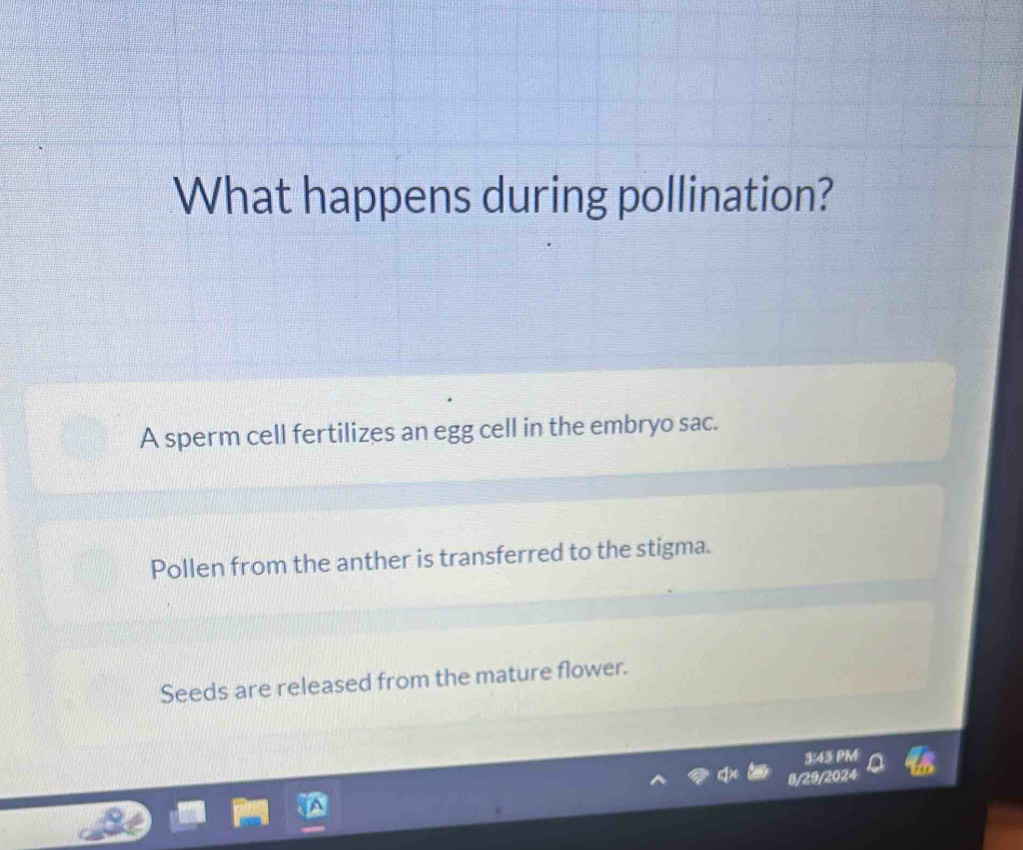 What happens during pollination?
A sperm cell fertilizes an egg cell in the embryo sac.
Pollen from the anther is transferred to the stigma.
Seeds are released from the mature flower.
3:43 PM
8/29/2024