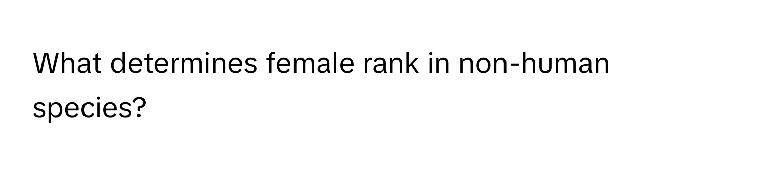 What determines female rank in non-human species?