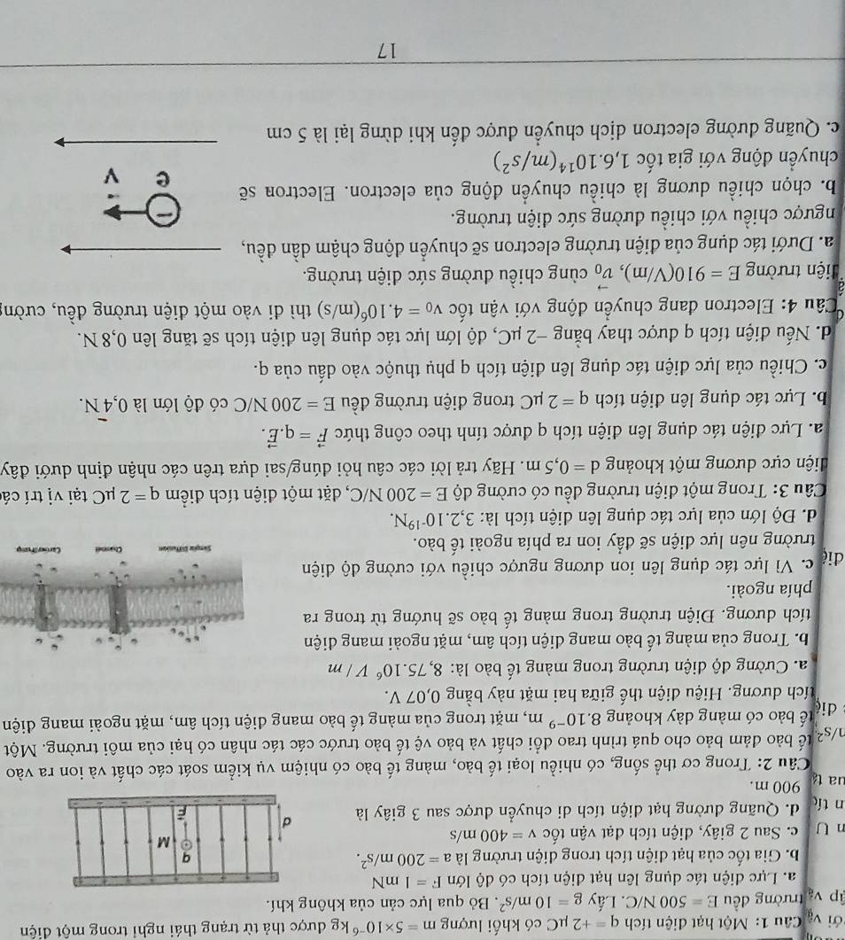 ới V_d^(2 Câu 1: Một hạt điện tích q=+2mu C có khối lượng m=5* 10^-6)kg được thả từ trạng thái nghỉ trong một điện
p V_d^(2 trường đều E=500N/C. Lấy g=10m/s^2). Bỏ qua lực cản của không khí.
a. Lực điện tác dụng lên hạt điện tích có độ lớn F=1mN
b. Gia tốc của hạt điện tích trong diện trường là a=200m/s^2.
n U c. Sau 2 giây, diện tích đạt vận tốc v=400m/s
n tíc d. Quãng dường hạt diện tích di chuyển được sau 3 giây là 
ua tá 900 m.
Câu 2: Trong cơ thể sống, có nhiều loại tế bào, màng tế bào có nhiệm vụ kiểm soát các chất và ion ra vào
η/s² bể bào đảm bảo cho quá trình trao đổi chất và bảo vệ tế bảo trước các tác nhân có hại của môi trường. Một
diệ bế bào có màng dày khoảng 8.10^(-9)m , mặt trong của màng tế bào mang điện tích âm, mặt ngoài mang điện
tích dương. Hiệu điện thế giữa hai mặt này bằng 0,07 V.
a. Cường độ điện trường trong màng tế bào là: 8,75.10^6V/m
b. Trong của màng tế bào mang điện tích âm, mặt ngoài mang điện
tích dương. Điện trường trong màng tế bào sẽ hướng từ trong ra
phía ngoài.
điệ c. Vì lực tác dụng lên ion dương ngược chiều với cường độ diện
trường nên lực diện sẽ đầy ion ra phía ngoài tế bào.
d. Độ lớn của lực tác dụng lên diện tích là: 3,2.10^(-19)N.
Câu 3: Trong một diện trường đều có cường độ E=200N/C , đặt một điện tích điểm q=2mu C tại vị trí các
diện cực dương một khoảng d=0,5m. Hãy trả lời các câu hỏi dúng/sai dựa trên các nhận định dưới đây
a. Lực điện tác dụng lên điện tích q được tính theo công thức vector F=q.vector E.
b. Lực tác dụng lên điện tích q=2mu C trong điện trường đều E=200N/C có độ lớn là 0,overline 4N.
c. Chiều của lực điện tác dụng lên điện tích q phụ thuộc vào dấu của q.
d. Nếu điện tích q được thay bằng −2 μC, độ lớn lực tác dụng lên điện tích sẽ tăng lên 0,8 N.
Câu 4: Electron đang chuyển động với vận tốc v_0=4.10^6(m/s) thì đi vào một điện trường đều, cườn
tiện trường E=910(V/m),vector v_0 cùng chiều đường sức điện trường.
a. Dưới tác dụng của điện trường electron sẽ chuyển động chậm dần đều,
ngược chiều với chiều đường sức điện trường.
b. chọn chiều dương là chiều chuyển động của electron. Electron sẽ -q
e
chuyển động với gia tốc 1,6.10^(14)(m/s^2)
c. Quãng dường electron dịch chuyển được đến khi dừng lại là 5 cm
17