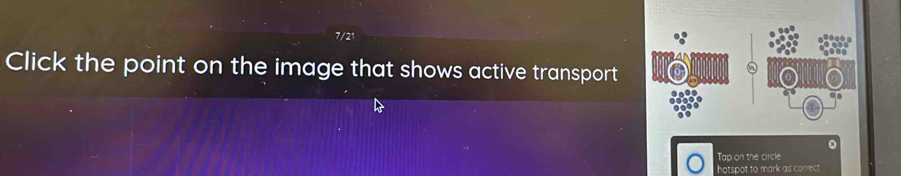 7/2^4
Click the point on the image that shows active transport 
0 
Tap on the circle 
hotspot to mark as correct