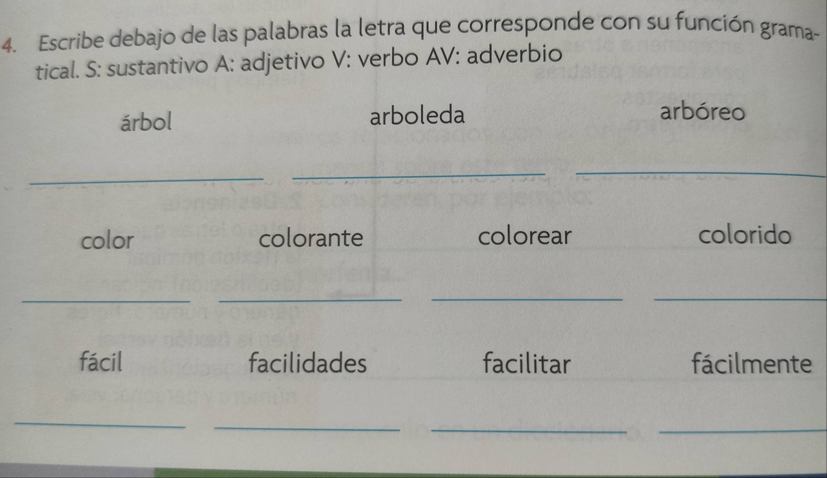 Escribe debajo de las palabras la letra que corresponde con su función grama-
tical. S: sustantivo A: adjetivo V: verbo AV: adverbio
árbol arboleda
arbóreo
_
_
_
color colorante colorear colorido
_
_
__
fácil facilidades facilitar fácilmente
_
_
_
_