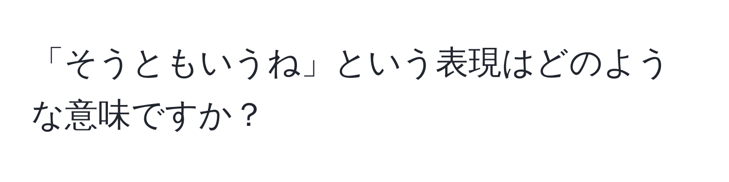 「そうともいうね」という表現はどのような意味ですか？