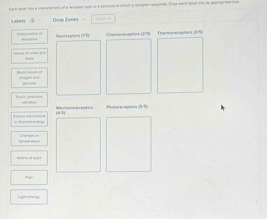 Each label lists a characteristic of a receptor type or a stimulus to which a receptor responds. Drop each label into its appropriate box. 
Labels ① Drop Zones Reset All 
Deformation of Nociceptors (1/5) Chemoreceptors (2/5) Thermoreceptors (3/5) 
receptors 
Sense of smell and 
taste 
Blood levels of 
oxygen and 
glucose 
Touch, pressure, 
vibration 
Mechanoreceptors Photoreceptors (5/5) 
Excess mechanical (4/5)
or thermal energy 
Changes in 
temperature 
Retina of eyes 
Pain 
Light energy