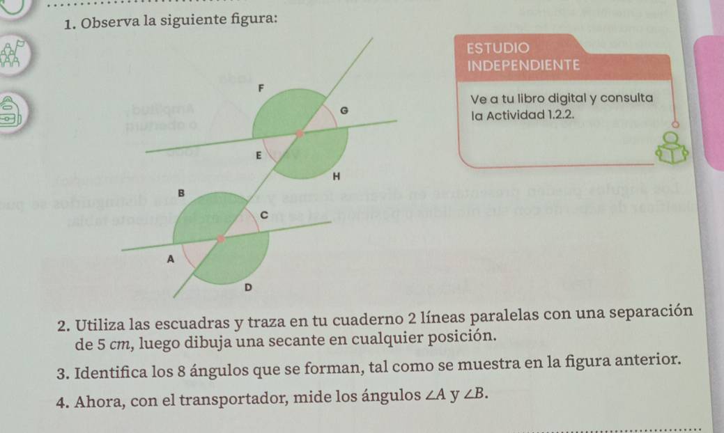 Observa la siguiente figura: 
ESTUDIO 
INDEPENDIENTE 
Ve a tu libro digital y consulta 
Ia Actividad 1.2.2. 
2. Utiliza las escuadras y traza en tu cuaderno 2 líneas paralelas con una separación 
de 5 cm, luego dibuja una secante en cualquier posición. 
3. Identifica los 8 ángulos que se forman, tal como se muestra en la figura anterior. 
4. Ahora, con el transportador, mide los ángulos ∠ A y ∠ B.