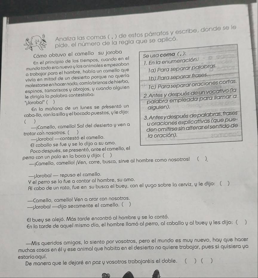 Analiza las comas ( , ) de estos párrafos y escribe, donde se le
pide, el número de la reglaue se aplicó.
Cómo obtuvo el camello su joroba
En el principio de los tiempos, cuando en el
mundo todo era nuevo y los animales empezaban
a trabajar para el hombre, había un camello que
vivía en mitad de un desierto porque no quería
molestarse en hacer nada; comía briznas de hierba,
espinos, tamariscos y abrojos, y cuando alguien
le dirigía la palabra contestaba:
"¡Joroba!" ( )
En la mañana de un lunes se presentó un
caba-llo, con la silla y el bocado puestos, y le dijo:
)
—¡Camello, camello! Sal del desierto y ven a
trotar con nosotros. ( ) 
—¡Joroba! —contestó el camello. 
El caballo se fue u se lo dijo a su amo.
Poco después, se presentó, ante el camello, el
perro con un palo en la boca y dijo: ( )
—¡Camello, camello! ¡Ven, corre, busca, sirve al hombre como nosotros! ( )
—¡Joroba! — repuso el camello.
Y el perro se lo fue a contar al hombre, su amo.
Al cabo de un rato, fue en su busca el buey, con el yugo sobre la cerviz, y le dijo: ( )
—Camello, camello! Ven a arar con nosotros.
—¡Joroba! —dijo secamente el camello. ( )
El buey se alejó. Más tarde encontró al hombre y se lo contó.
En la tarde de aquel mismo día, el hombre llamó al perro, al caballo y al buey y les dijo: ( )
—Mis queridos amigos, lo siento por vosotros, pero el mundo es muy nuevo, hay que hacer
muchas cosas en él y ese animal que habita en el desierto no quiere trabajar, pues si quisiera ya
estaría aquí.
De manera que le dejaré en paz y vosotros trabajaréis el doble.  ( ) ( )
