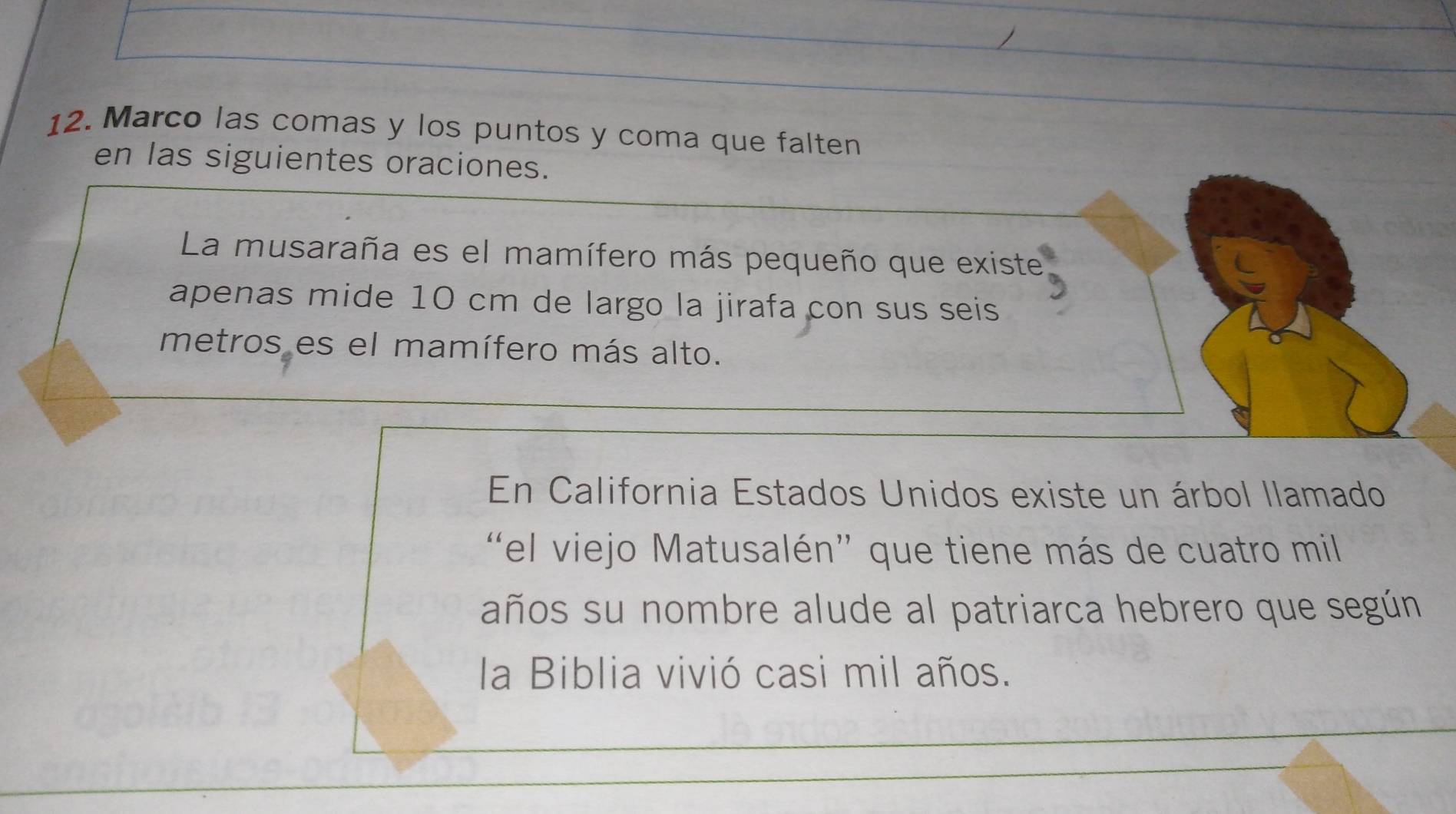 Marco las comas y los puntos y coma que falten 
en las siguientes oraciones. 
La musaraña es el mamífero más pequeño que existe 
apenas mide 10 cm de largo la jirafa con sus seis 
metros es el mamífero más alto. 
En California Estados Unidos existe un árbol llamado 
“el viejo Matusalén” que tiene más de cuatro mil 
años su nombre alude al patriarca hebrero que según 
la Biblia vivió casi mil años.