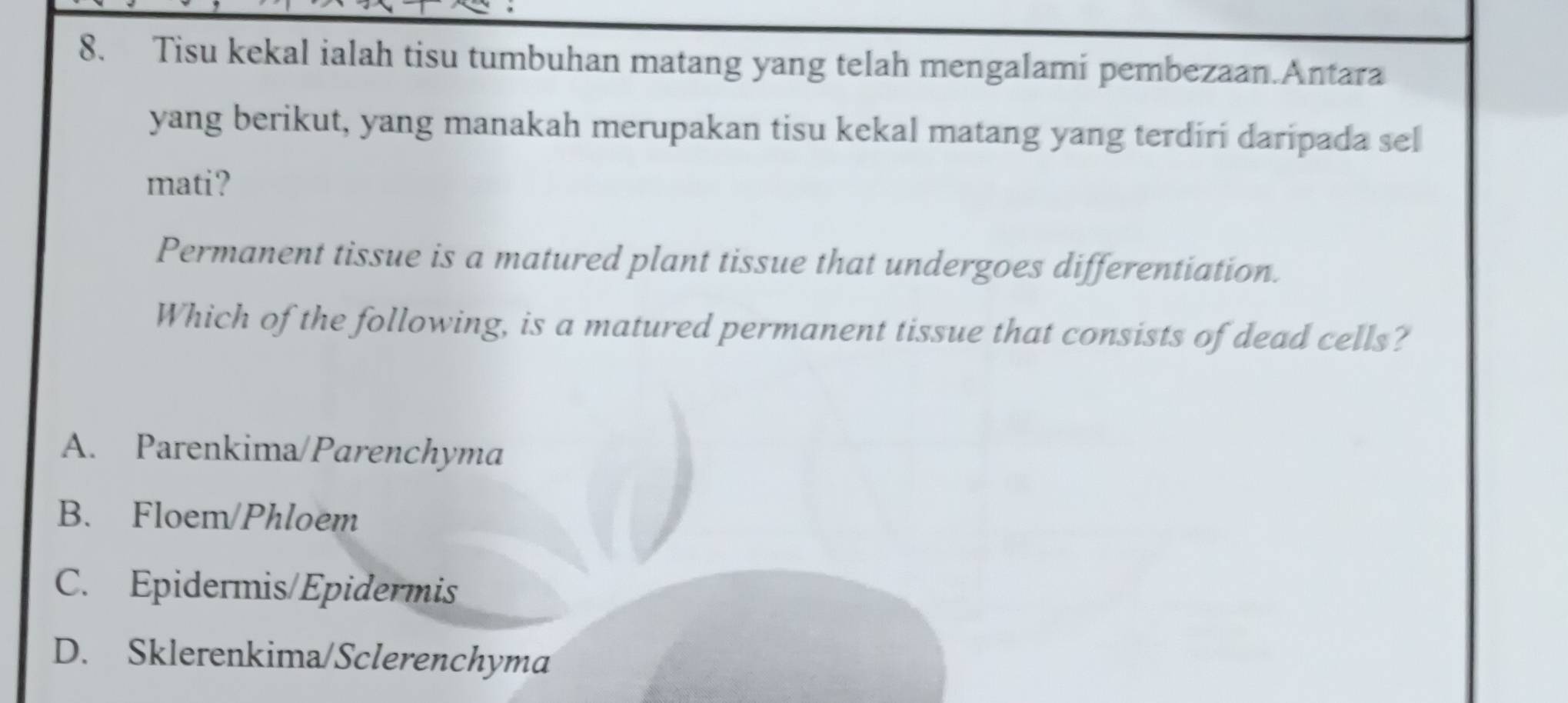 Tisu kekal ialah tisu tumbuhan matang yang telah mengalami pembezaan.Antara
yang berikut, yang manakah merupakan tisu kekal matang yang terdiri daripada sel
mati?
Permanent tissue is a matured plant tissue that undergoes differentiation.
Which of the following, is a matured permanent tissue that consists of dead cells?
A. Parenkima/Parenchyma
B. Floem/Phloem
C. Epidermis/Epidermis
D. Sklerenkima/Sclerenchyma