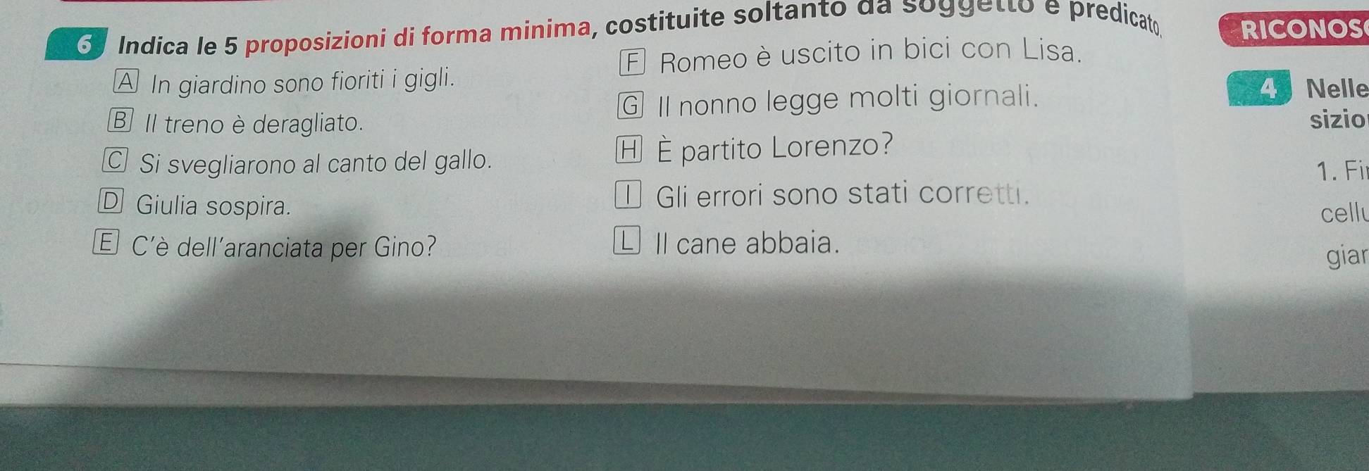 Indica le 5 proposizioni di forma minima, costituite soltanto da soggetto e predicato RICONOS 
É Romeo è uscito in bici con Lisa. 
A In giardino sono fioriti i gigli. 
G II nonno legge molti giornali. 
4 Nelle 
BIl treno è deragliato. sizio 
C Si svegliarono al canto del gallo. H È partito Lorenzo? 
1. Fi 
] Gli errori sono stati corretti. 
D Giulia sospira. cellu 
E C'è dell'aranciata per Gino? € Ⅱl cane abbaia. 
giar