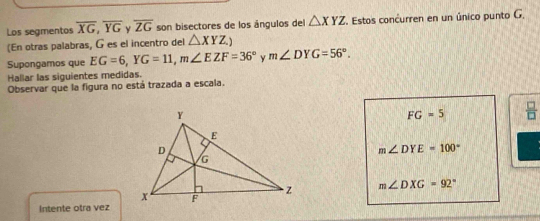 Los segmentos overline XG, overline YG y overline ZG son bisectores de los ángulos del △ XYZ Estos concurren en un único punto G. 
(En otras palabras, G es el incentro del △ XYZ.) 
Supongamos que EG=6, YG=11, m∠ EZF=36° y m∠ DYG=56°. 
Hallar las siguientes medidas. 
Observar que la figura no está trazada a escala.
FG=5  □ /□  
m∠ DYE=100°
m∠ DXG=92°
Intente otra vez