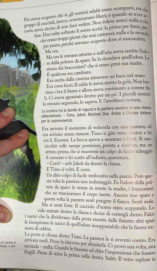 Poi aveva scoperto che sì, gli uomini adulti erano scomparsi, ma che
gruppi di cuccioli, invece, scorrazzavano liberi; e quando se n’era ac
corta aveva deciso di non farsi vedere. Non voleva averci nulla a che
fare. Due volte soltanto li aveva uccisi: la prima per fame, per
ché erano troppi giorni che non catturava nulla e la seconda
per paura, perché avevano scoperto dove si nascondeva
Ma ora.
Ma ora le stavano attorno e nell’aria aveva sentito lodo
re della polvere da sparo. Se lo ricordava quell’odore. Lo
stesso dei bracconieri³ che si erano presi sua madre.
E qualcosa era cambiato.
Era uscita dalla caverna attraverso un buco nel muro.
Era corsa fuori. Il caldo le aveva stretto la gola. Non lon-
tano c’œera il fiume e allora aveva continuato a correre fin
lì. Ci aveva sguazzato dentro per un po’. I piccoli uomini
la stavano seguendo, lo sapeva. E lavrebbero trovata.
Lo scontro tra la banda di ragazzi e la pantera avviene in una chiesa
abbandonata. - Timo, Jakob, Büchner Due, Britta e Christa Iottano
per la sopravvivenza.
Era arrivato il momento di vedersela con una pantera; ed
era arrivato senza rumore. Timo si girò verso destra: e lei
era lì. Enorme. La bocca aperta a mostrare i denti. Si ran-
nicchiò sulle zampe posteriori, pronta a scattare, ma un
attimo prima che si muovesse un colpo di fucile scheggiò
il cemento e lei scattò all’indietro, spaventata.
- Corri! - urlò Jakob da dentro la chiesa.
E Timo si voltò. E corse.
Un altro colpo di fucile rimbombó nella piazza. Però que-
sta volta la pantera non indietreggiò. Fu l’odore della pol-
vere da sparo: le venne in mente la madre, i bracconieri
che ne trascinavano il corpo inerte. Ancora uno sparo e
questa volta la pantera sentì pungere il fianco. Sentì male.
Ma si sentì forte. Il cucciolo d’uomo stava scappando. Lo
vide entrare dentro la chiesa e decise di corrergli dietro. Falcò
i metri che la dividevano dalla porta mentre dalle finestre altri spari
le riempivano le narici di quellodore insopportabile che la faceva tre-
mare di rabbia.
La porta si chiuse dietro Timo. La pantera le si avventò contro. Era
chi caccia in arrivata tardi. Prese la rincorsa per sfondarla. Ci provò una volta, una
ietati, o con seconda - nulla. Guardò le finestre ed ebbe l’impressione che fossero
fragili. Prese di mira la prima sulla destra. Saltò. Il vetro esplose in