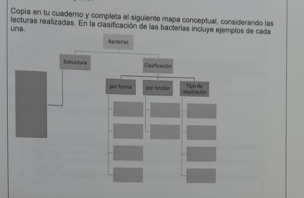 Copia en tu cuaderno y completa el siguiente mapa conceptual, considerando las 
lecturas realizadas. En la clasificación de las bacterías incluyede cada 
una.