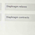 Diaphragm relaxes 
Diaphragm contracts