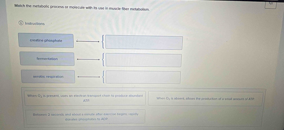 Match the metabolic process or molecule with its use in muscle fiber metabolism.
Instructions
creatine phosphate
fermentation
aerobic respiration
When O_2 is present, uses an electron transport chain to produce abundant When O_2 is absent, allows the production of a small amount of ATP
ATP.
Between 2 seconds and about a minute after exercise begins, rapidly
donates phosphates to ADP