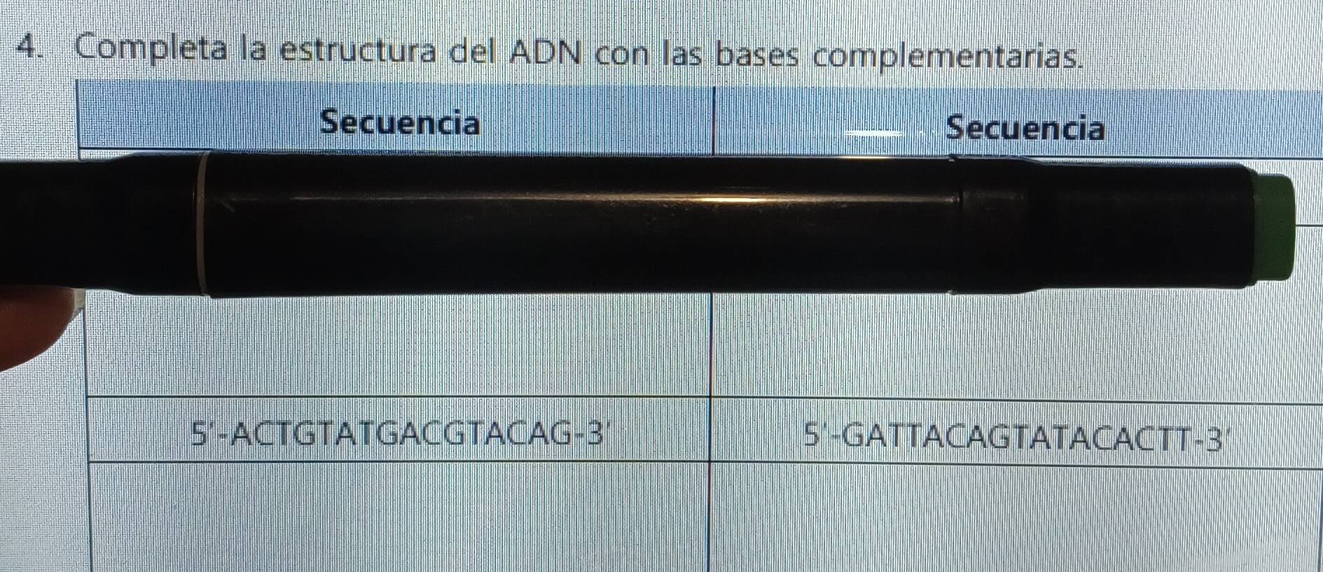 Completa la estructura del ADN con las bases complementarias. 
Secuencia Secuencia 
5'-ACTGTATGACGTACAG -3 ' 5'-GATTACAGTATACACTT -3 '