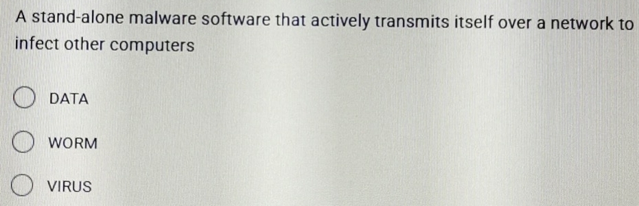 A stand-alone malware software that actively transmits itself over a network to
infect other computers
DATA
WORM
VIRUS