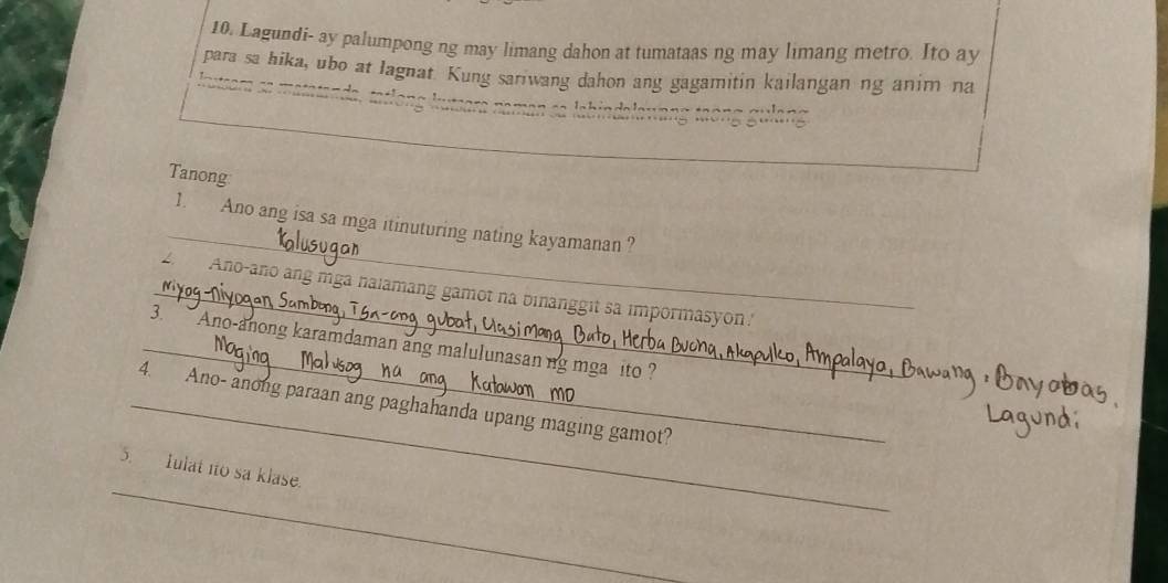 Lagundi- ay palumpong ng may limang dahon at tumataas ng may limang metro. Ito ay 
para sa hika, ubo at lagnat. Kung sariwang dahon ang gagamitin kailangan ng anim na 
Tanong 
_ 
1. Ano ang isa sa mga itinuturing nating kayamanan ? 
_2. Ano-ano ang mga nalamang gamot na binanggit sa impormasyon' 
_3. ~ Ano-anong karamdaman ang malulunasan ng mga ito ? 
_4. Ano- anong paraan ang paghahanda upang maging gamot? 
_ 
5. Iulat ito sa klase.